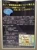 「「カジノ解禁推進法案について考える～カジノを解禁することは本当によいことなのか？～（シンポジウム）」」