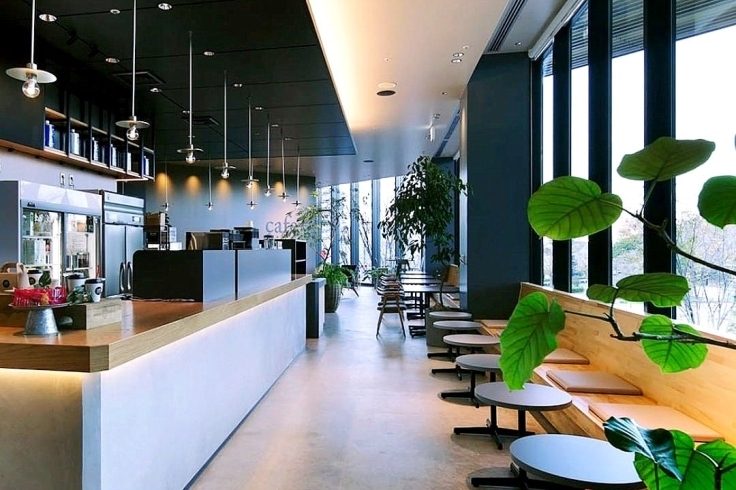 Cafe Glitter カフェグリティア カフェ 喫茶店 まいぷれ 立川市 Cafe Glitter カフェグリティア カフェ 喫茶店 まいぷれ 立川市