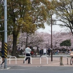 南河原公園｜幸区