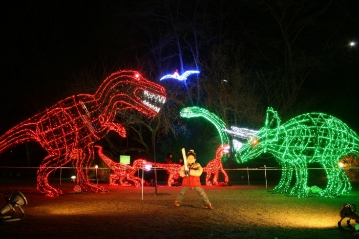 「初登場！中秋の名月と光り輝く富士山 ～花と光のページェント（夜間開園）～」