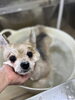 入浴中〜「はじめまして^ - ^」
