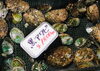「魚魚市場鮮魚コーナーおすすめは「イサキ」です♪」