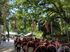 表参道から「大宮八幡宮　わかば祭　稚児行列」