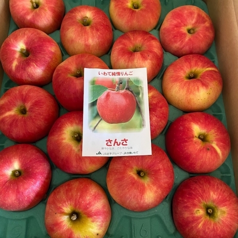 「「黄王(きおう)」に続いて「さんさ」も入荷しました～🍎」