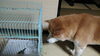 「今週の予約空き☆」