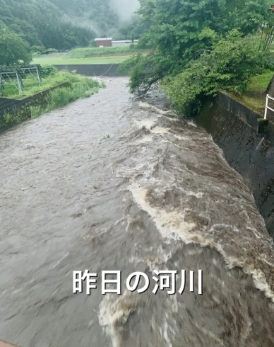 前日までの川の様子「初めての浸水。」