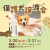 保護犬譲渡会【2026年3月開催】