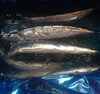 「旬の新鮮な”秋刀魚”本日おすすめ‼︎」