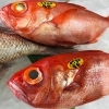 「魚魚市場鮮魚コーナーおすすめは「キンメダイ・イサキ・クロ」です♪」