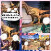 「茨城自然博物館へ行ってきました！！🦖👩🏻‍🔬🌟」
