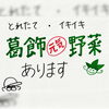葛飾元気野菜　ポスター「第58回【叶夢珈琲マルシェ】2026年3月7日（土）10時〜15時⭐️毎月第１土曜日・南水元叶夢珈琲にて開催❗️」