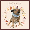 「Dog salon mofu mofu　余市町」