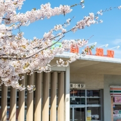 JR南小樽駅