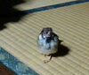 「明日の午後２時～にキャンセルが出ました」