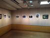 「9月ふれあいホール展覧会　写創会写真展（第1展示室）」