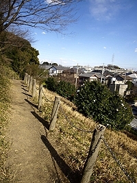 小高い丘に遊歩道がめぐらせてある<br>王禅寺公園。住宅街の静かな場所。