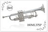 「毎日すきなだけ楽器を吹ける♫」