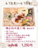 今週の山御膳「【今週のお弁当のご紹介🌷】」