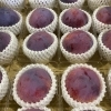 「今年は不作と言われていますが… 山梨県産「貴陽プラム」入荷しています。」