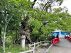 静岡浅間神社、大河ドラマ館、どうする家康「【静岡のお土産！】」