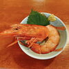 特大赤エビ刺身「特大赤海老＠青梅（河辺エリア）の隠れ家的居酒屋【酒処 圭】」