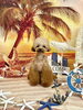 ういちゃん「サンセットビーチ🏖️」