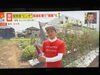 1人で生放送進行3分20秒、難しいです…「☆カラフル野菜の小山農園、『ミヤネ屋』無事にオンエア☆」
