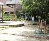 「免除川公園」わんぱくちびっこ　あつまれ！！