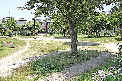 「東田中央公園」わんぱくちびっこ　あつまれ！！