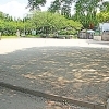 梅が枝公園
