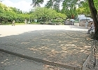 梅が枝公園