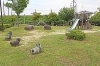 磐船駅北1号公園 アミューズメント 織姫ねっと 交野市