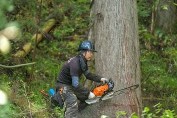 木と真剣に向き合い、緊張感を持ちながら作業をします。「株式会社YAMATO林業」