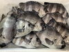 「鮮魚入荷致しました。[岩牡蠣は７月から販売致します。]」