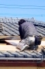 屋根の張替えもお任せください１「ペイント工房（有）信栄商会」