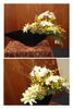 「式典の花」