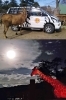 「野生の王国 群馬サファリパーク」