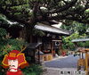 「たま駅長おすすめ！真田幸村物語　九度山・高野山編」