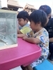 「八女市で保育園をお探しの保護者様へ　園長先生の生き物触れ合い教室🐟」
