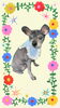 「　　Dog salon mofu mofu　余市町」