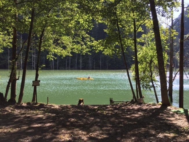 「自然湖ネイチャーカヌーツアー夏休みの予約始まっています。【木曽 遊ぶ 王滝 自然湖 自然】」