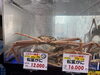「＼1月10日（土）の松葉ガニ入荷状況｜天候不順による品薄・高騰の中、厳選の逸品を揃えました／」