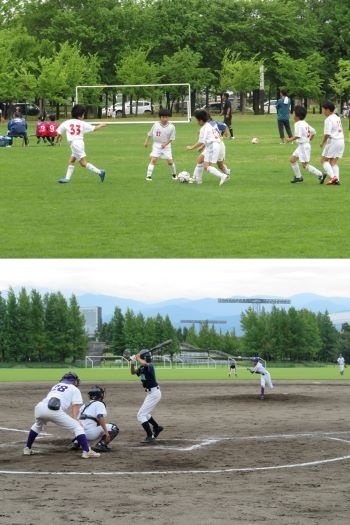 広々とした、のびやかな屋外運動施設「富山県総合運動公園」