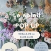 POP UP @Le soleil