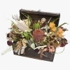 Barba rossa BOX -バルバロッサの箱-