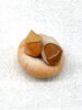 「秋の上生菓子出来てます(*^▽^*)」