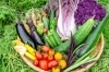 無農薬で丁寧に育てられたオーガニック野菜「ヴィラージュ.アキヨシ」