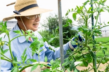 明日香香具山の大野ファームさんの完全無農薬野菜を使用「ヴィラージュ.アキヨシ」