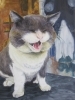 「一般科生徒作品　「猫」」