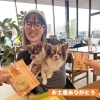 美味しそうなクッキーが食べたいわんこ😂「仲良しのお客様♬」